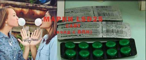 гашик Магас