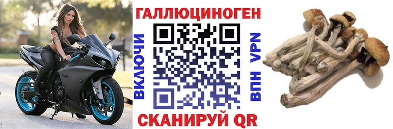 Псилоцибиновые грибы прущие грибы  Симферополь 