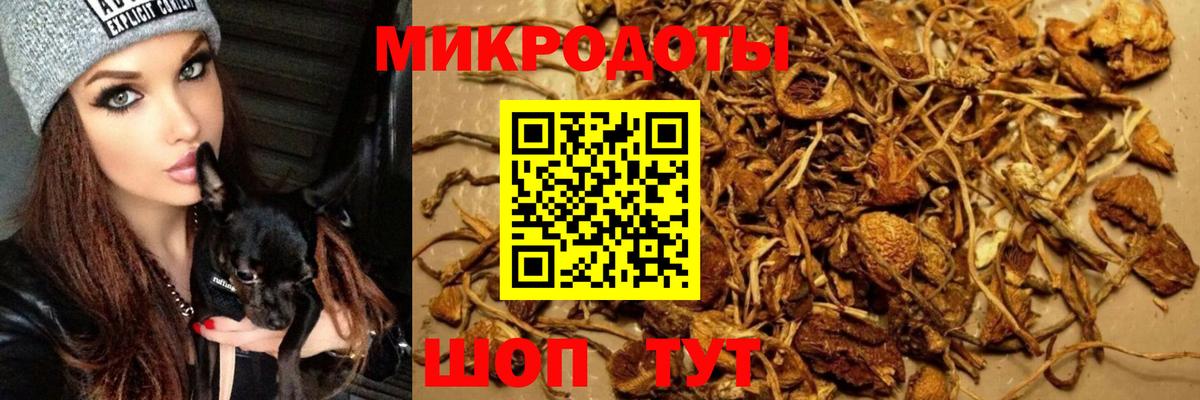 Галлюциногенные грибы GOLDEN TEACHER Симферополь