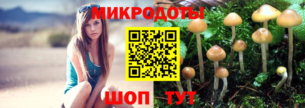 Псилоцибиновые грибы Psilocybe  Галлюциногенные грибы Cubensis  что такое   Симферополь 